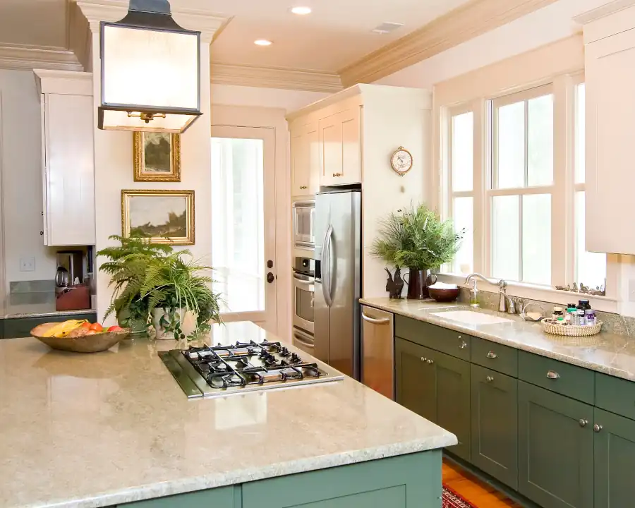 Modern kitchen with green cabinets, stainless steel appliances, marble countertops, potted plants, and natural light.